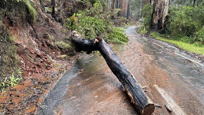 Hammering rain triggered the landslide. Picture: Walhalla Facebook