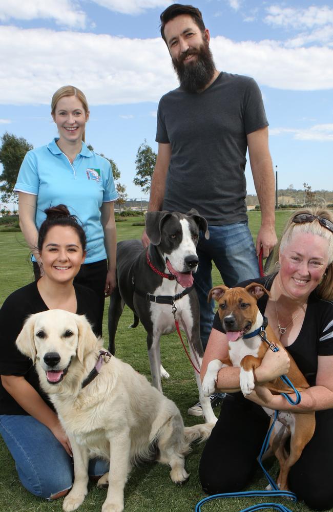 (Clockwise from top left) former Camden mayor Lara Symkowiak, Matt Houston with Zelda, Lee-Anne with Rocky, and Alana Begovic with Maggie. Picture: Robert Pozo