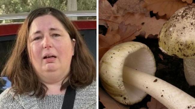 Erin Patterson has pleaded not guilty to killing three relatives with a poisonous beef Wellington.