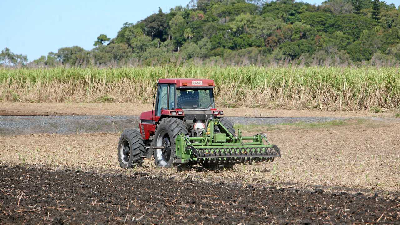 New Agriculture Project Expected To Revolutionise Industry | The Chronicle