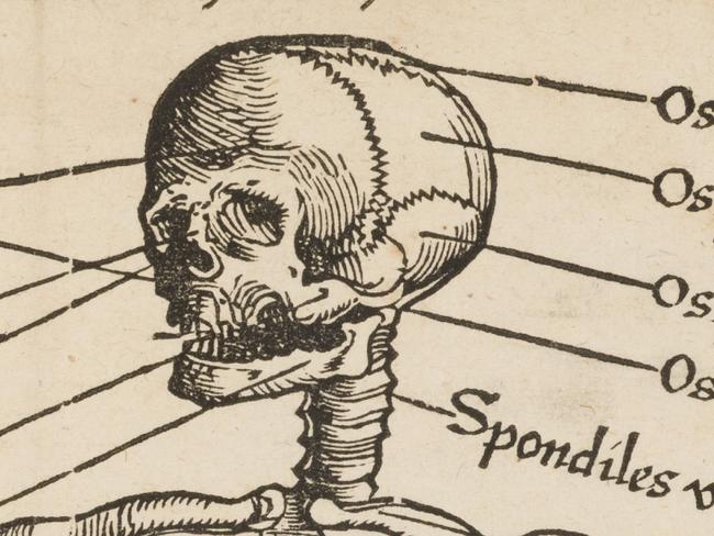 Feldtbuch der Wundartzney, 1540 Field book of surgery by Hans von Gersdorff. credit: SLNSW