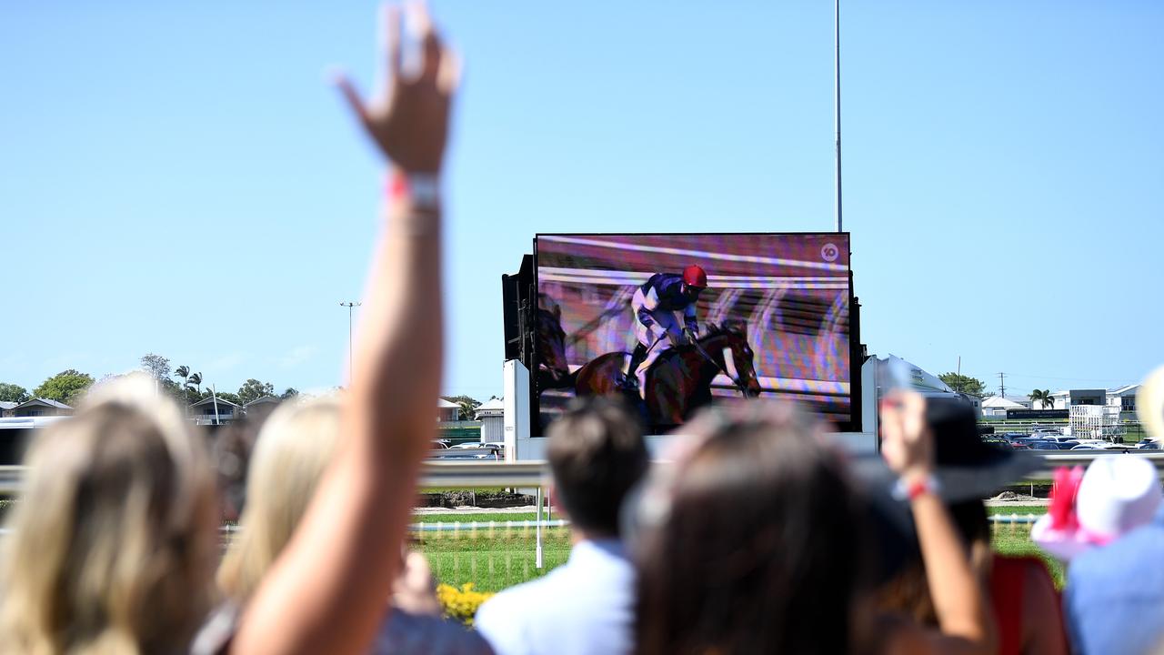 Peter V’landys sued the ABC for defamation over an episode of 7.30 about cruel treatment of retired racehorses. Picture: NCA NewsWire / Dan Peled