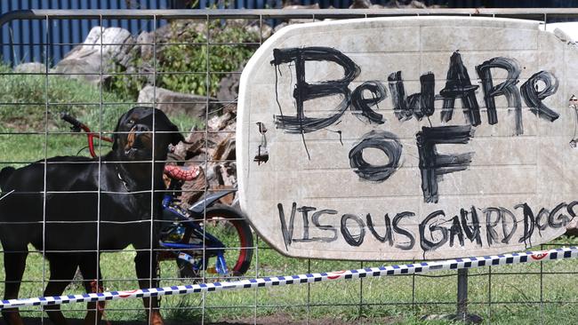 A dog stands guard at the property of the apparent murder-suicide. Pic: Liam Kidston.