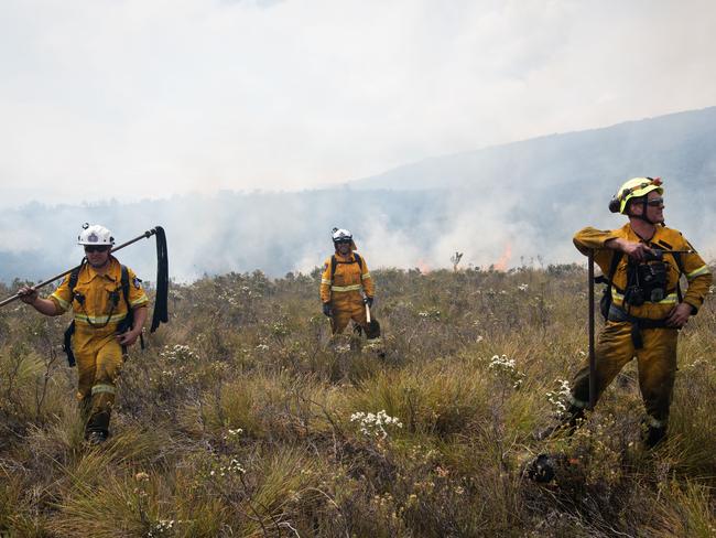 Tasmania Fire Service firefighters working on the edge of the Gell River fire. Picture: WARREN FREY/TASMANIA FIRE SERVICE