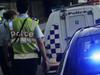 Stolen luxury car ploughs into art gallery