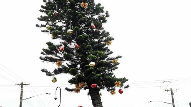 The bent christmas tree on Woodlark Street has a fresh look with Father Christmas holding up the tree. Photo Marc Stapelberg / The Northern Star. Picture: Marc Stapelberg