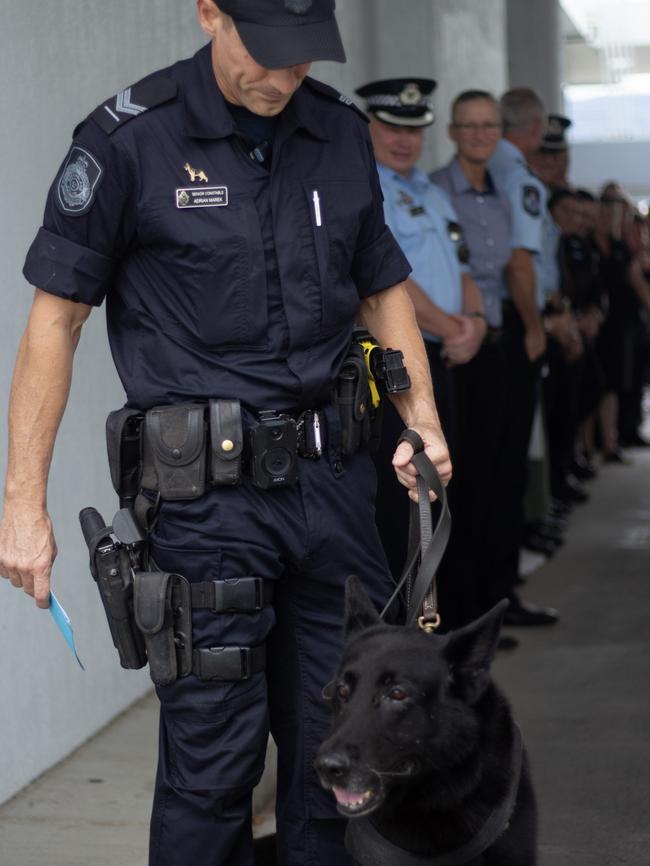 At the age of eight and a half, or almost 60 in dog years, Police Dog Bally is retiring from active duty. He is pictured here at his retirement and farewell event at the Cairns Police Station. Picture: Queensland Police