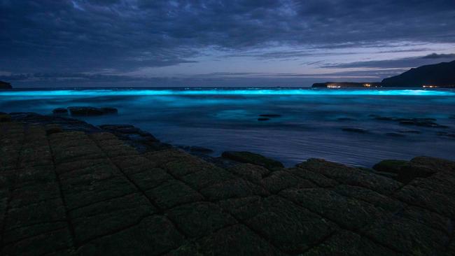 Bioluminescence event on Tasman Peninsula at the Tessellated Pavements on Christmas Day. Picture: Robbie Moles