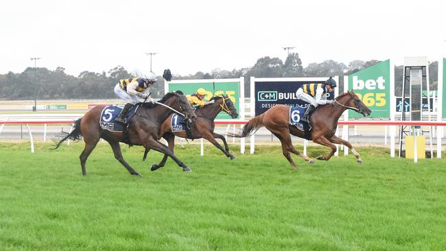 Andy Win (no.5) flashes home behind Everything Counts at Kilmore last month. Picture: Brett Holburt / Racing Photos