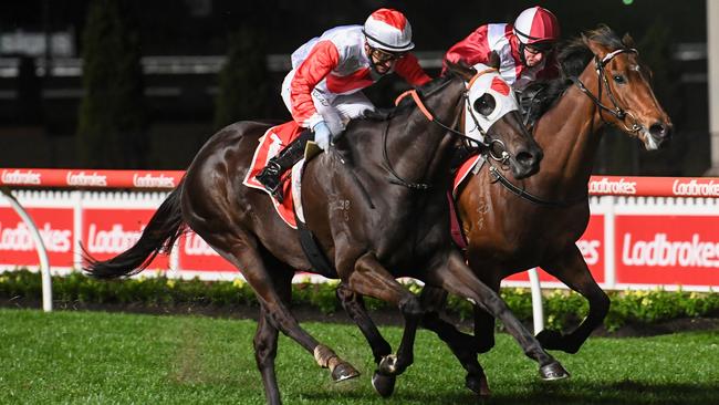 Luke Currie drives Mystic Journey to victory over Perth mare Perfect Jewel in the Group 2 Stocks Stakes at The Valley. Picture: Natasha Morello