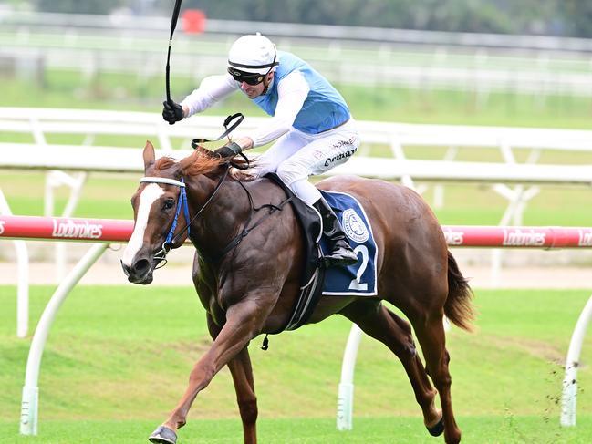 Mishani Lily, ridden by James Orman for Les Ross, wins the QTIS Jewel Prelude 2YO Fillies Plate over 1110m at Doomben on February 24, 2024. Picture: Grant Peters/Trackside Photography., ,