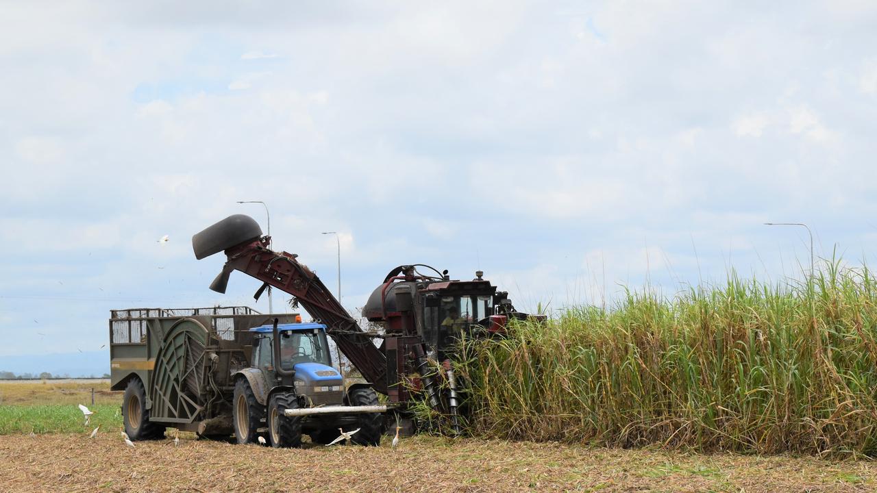 The end of the crushing season at a Mackay sugar cane farm. Picture: Heidi Petith