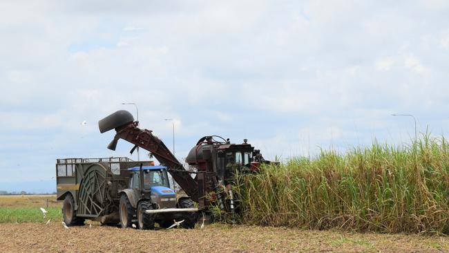 The end of the crushing season at a Mackay sugar cane farm. Picture: Heidi Petith