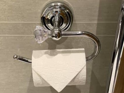 Row over ‘irritating’ toilet habit erupts