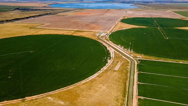 GoFARM’s Lake Boga properties in northern Victoria. Picture: Aaron Francis