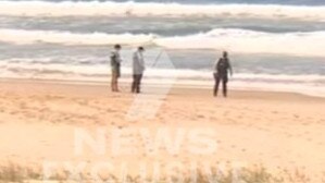 The police said are liaising with experts from the NSW Department of Primary Industries following the attack. Picture: 7News