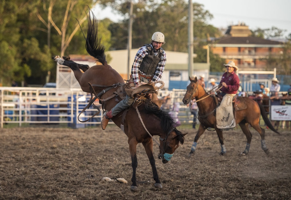 Grant Eldridge hangs on tight in the saddle bronc event at the Lawrence Twilight Rodeo. Picture: Adam Hourigan