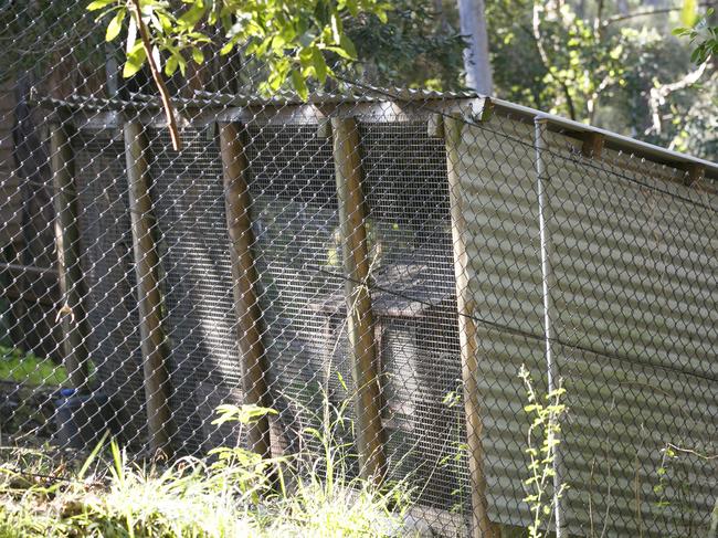 The neighbours rebuke the claims their chicken coop is the source of the issue. Picture: Tim Pascoe