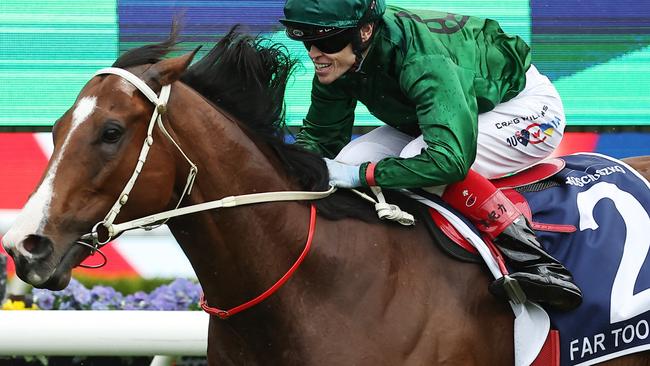 The Kosciuszko champion Far Too Easy will be aimed at the Group 1 Stradbroke Handicap during the 2025 Queensland winter carnival. Picture: Getty Images.