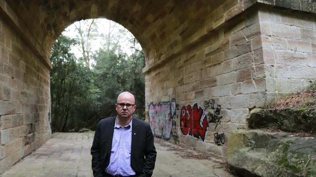 Blue Mountains Mayor Mark Greenhill has condemned the graffiti on Lennox Bridge at Glenbrook.