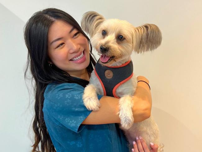 Southern Cross vet nurse Cindy Nguyen caring for a dog while her owner finds accommodation for them both. Picture: Supplied.