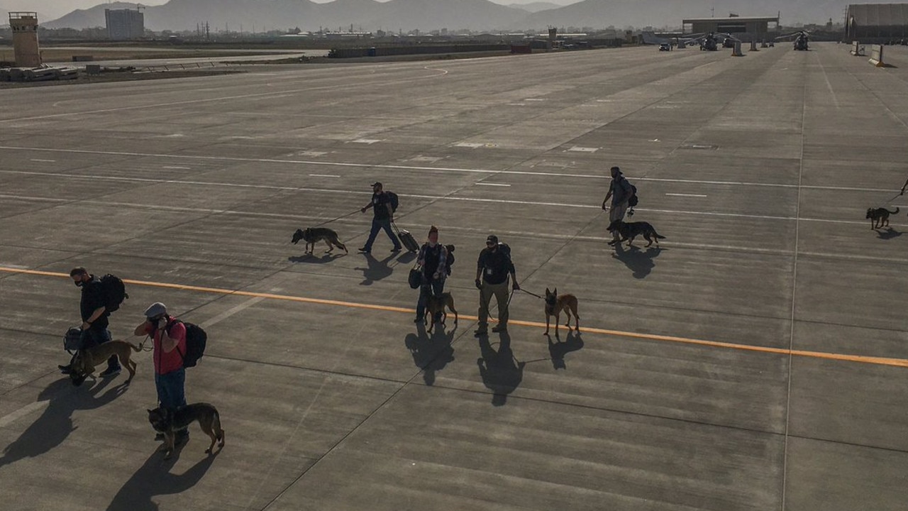 “The evacuation of US military dogs from the Kabul airport is more important than the Afghans who worked with the US military,” one person wrote. Picture: Twitter