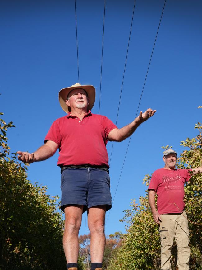 It comes as the apple producers struggle with the effects of SA’s drought. Picture: Dean Martin