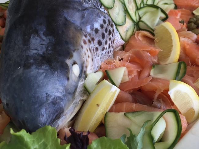 Lunch each day during the Test match is a sumptuous affair for the hard working media. Baked salmon is a favourite on the spread showcasing Tasmanian produce. Picture: JAMES BRESNEHAN