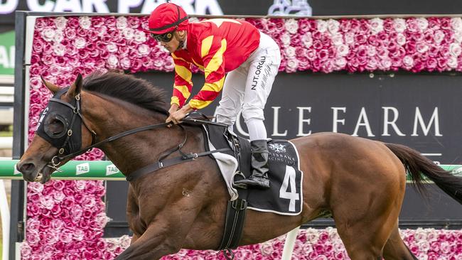 Quality Seeker will be hard to hold out at Eagle Farm. Picture: AAP