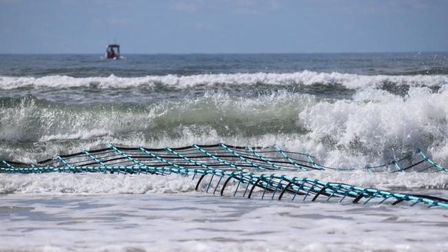 The Lennox Head shark barrier trial had to be abandoned.