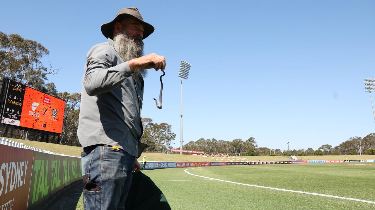 SYDNEY, AUSTRALIA - SEPTEMBER 16: A snake catcher picks up a snake on the sideline during the round three AFLW match between Greater Western Sydney Giants and Richmond Tigers at Blacktown International Sportspark, on September 16, 2023, in Sydney, Australia. (Photo by Mark Metcalfe/Getty Images)