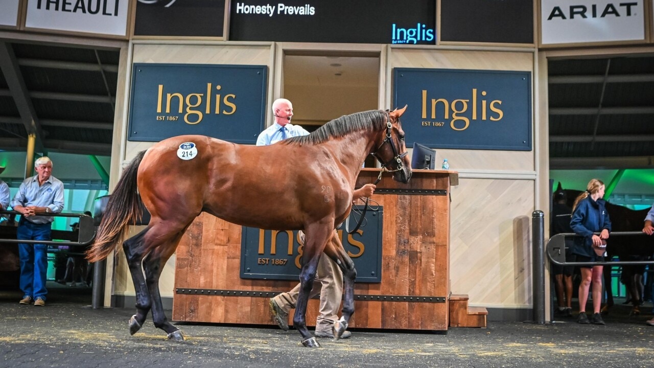 Recordbreaking Inglis Easter sale Sky News Australia