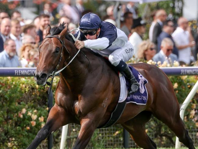 What You Need ridden by Ben Melham wins the Sunlight Classic at Flemington Racecourse on March 25, 2023 in Flemington, Australia. (Photo by George Sal/Racing Photos via Getty Images)