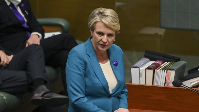 Environment Minister Tanya Plibersek on Thursday. Picture: Getty Images