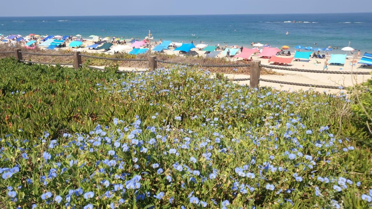 The cave was uncovered on a beach earlier in the week, when a digger working at the Palmahim national park hit its roof. Picture: Picture: Shlomi Amran/Israel Nature and Parks Authority/AFP