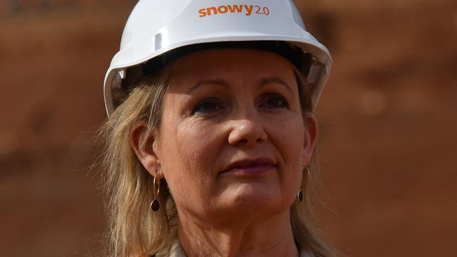 Environment Sussan Ley will announce $130m in reforms to be included in the federal budget.