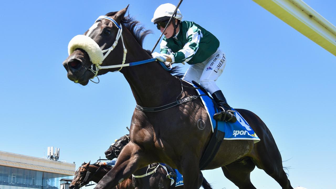 Reach The Peak, ridden by Linda Meech, wins at Caulfield Heath on Wednesday. Picture: Pat Scala / Racing Photos