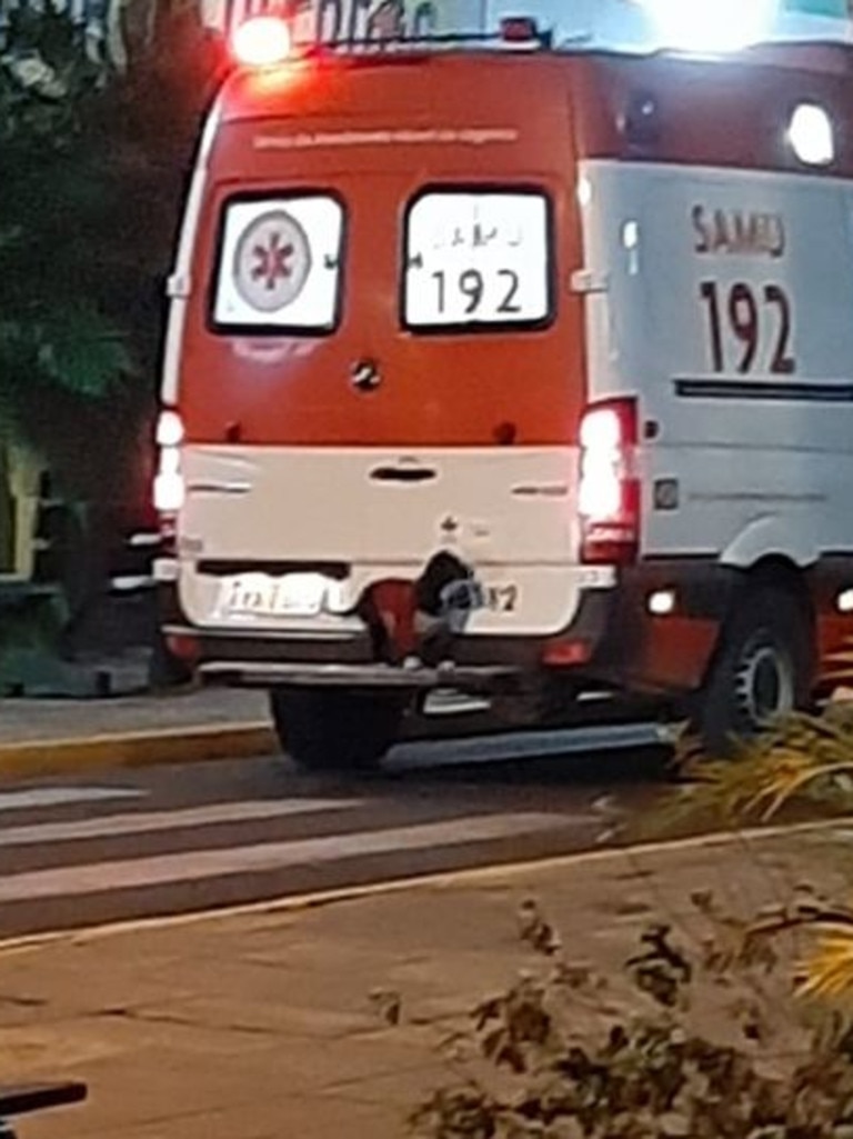 The dog launched itself after its owner, unfazed by the large ambulance. Picture: Anderson Bahi/Facebook