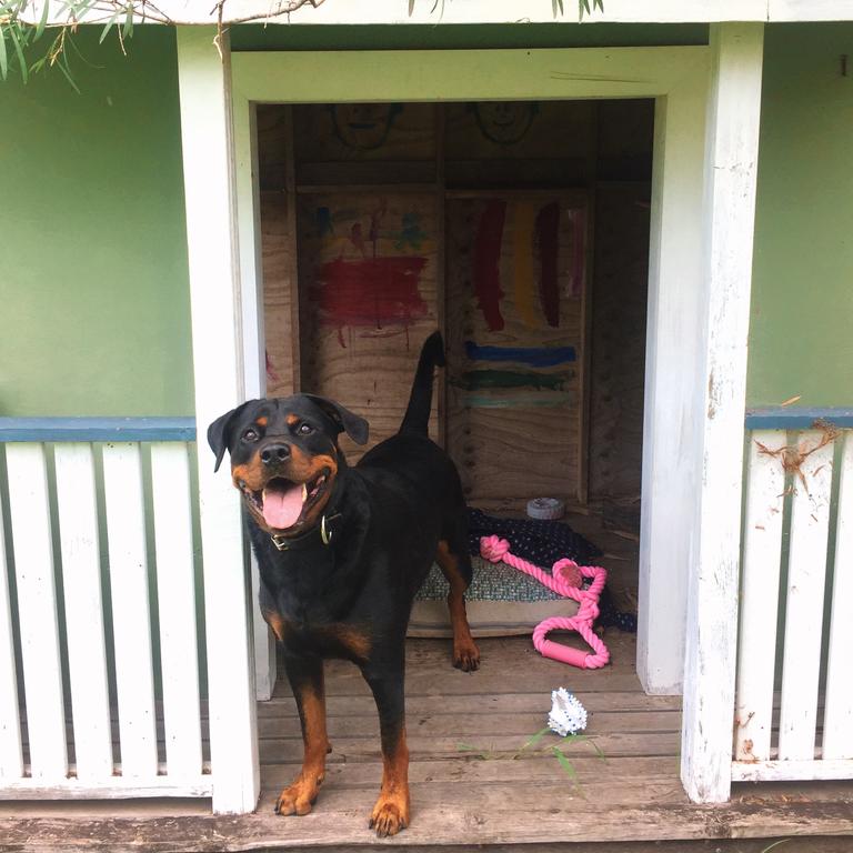 Isla boought her first home! Picture: Cassidy Lipins