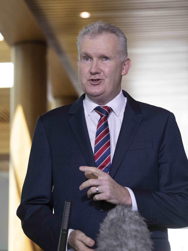 Tony Burke. Picture: NCA NewsWire / Gary Ramage