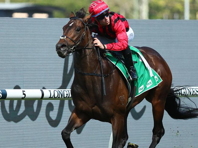 SYDNEY, AUSTRALIA - OCTOBER 07: Tommy Berry riding  King's Gambit wins Race 5 TAB Roman Consul Stakes during Hill Stakes Day - Sydney Racing at Rosehill Gardens on October 07, 2023 in Sydney, Australia. (Photo by Jeremy Ng/Getty Images)