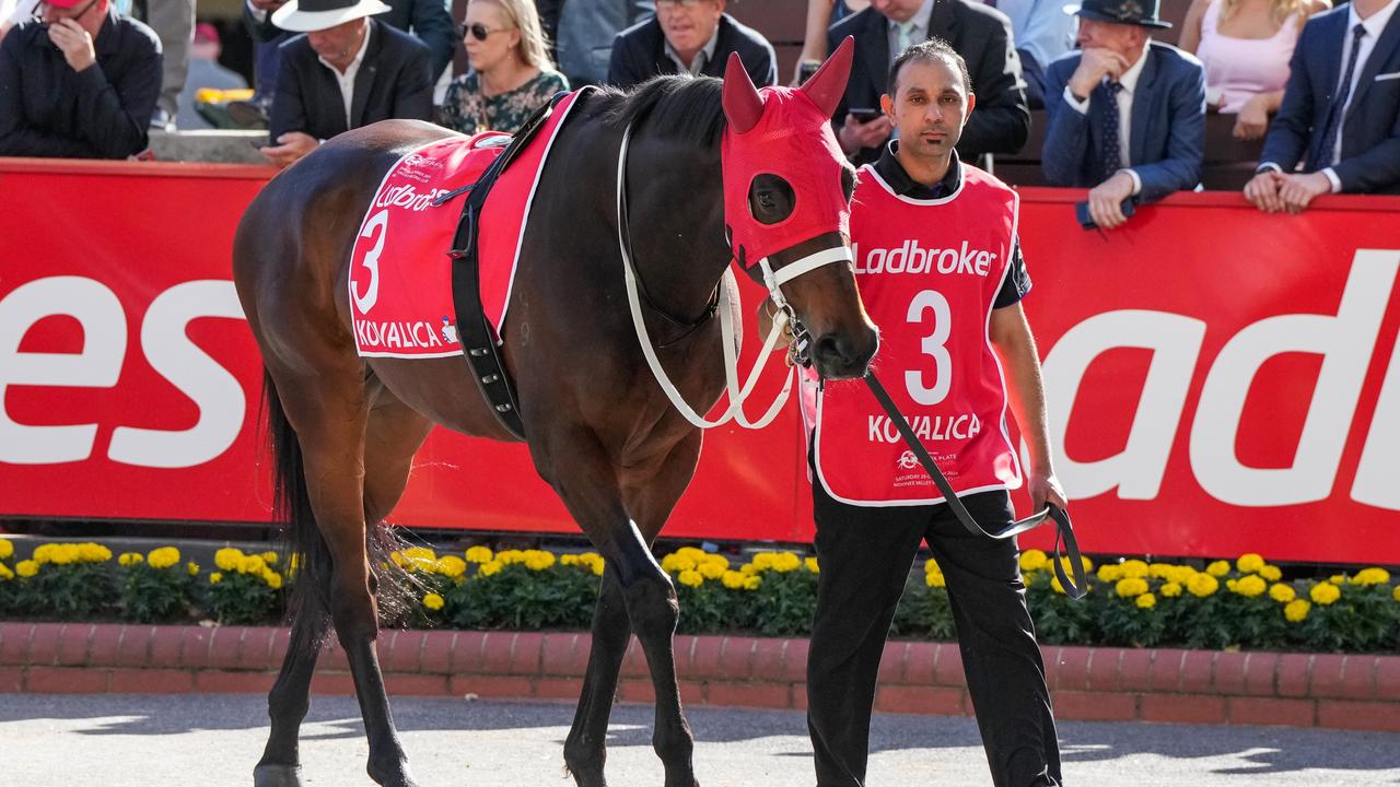 Kovalica is another Chris Waller trained horse. (Photo by George Sal/Racing Photos via Getty Images)