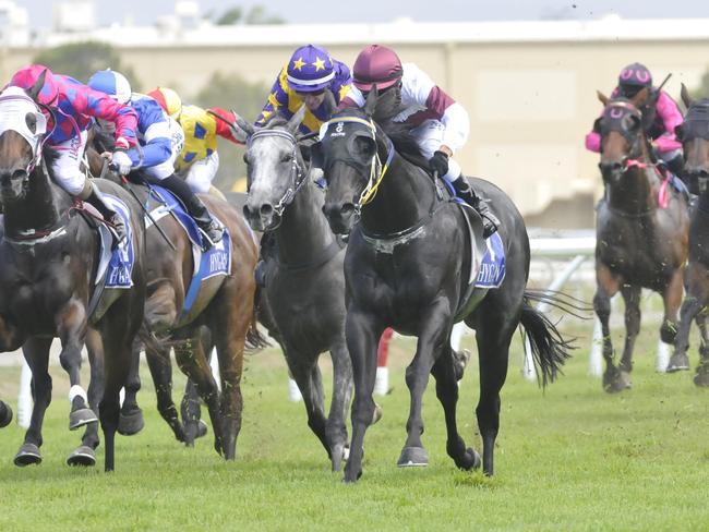 Saipan (maroon cap) wins for Bryan Guy at the Gold Coast. Picture: Jessica Hawkins. Trackside Photography.