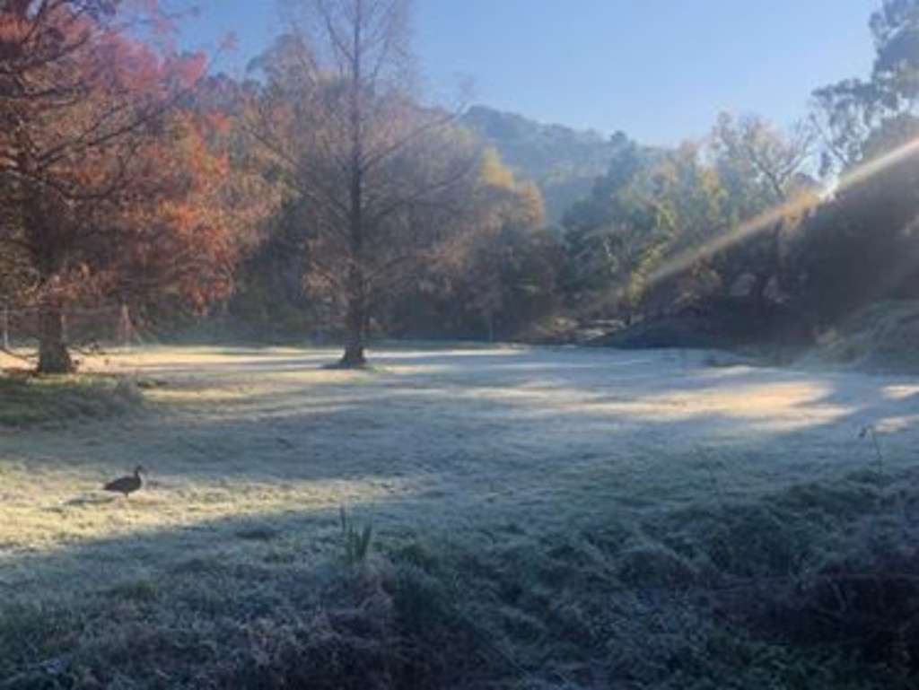 A frosty, sun-lit morning in the Adelaide Hills . Picture: Jackie Blows