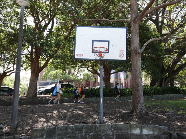 The basketball hoop near Allan Border Oval. Picture: Virginia Young