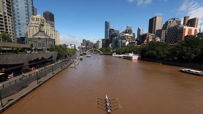 These rowers could almost get out and walk. Picture: Alex Coppel