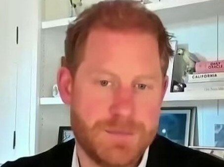 Prince Harry, who is Travalyst’s founder, made a virtual appearance at the meeting from his home in Montecito. Picture: Supplied