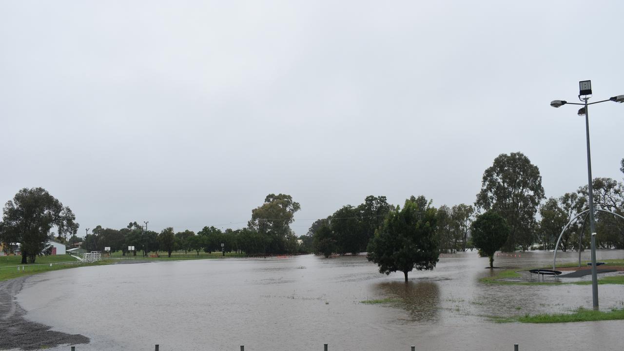 Condamine River near Queens Park in Warwick after flooding at more than 6m. Picture Jessica Paul / Warwick Daily News