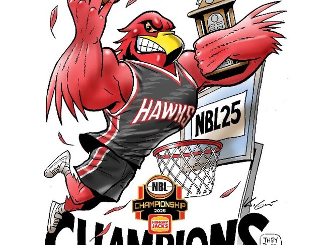 Download your Illawarra Hawks NBL champions poster