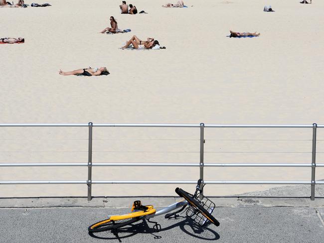 Discarded oBikes at Bondi Beach infuriated Phillip Byrnes. Picture: James Croucher